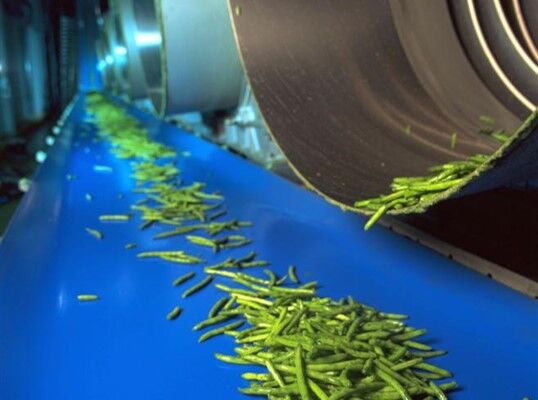 食品輸送帶，ReoClean 易潔帶可以輸送哪些食品