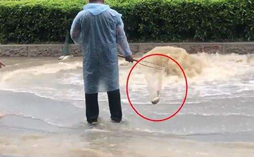 輸送帶廠家：廣州雨后內(nèi)澇嚴(yán)重，路人當(dāng)街捕魚