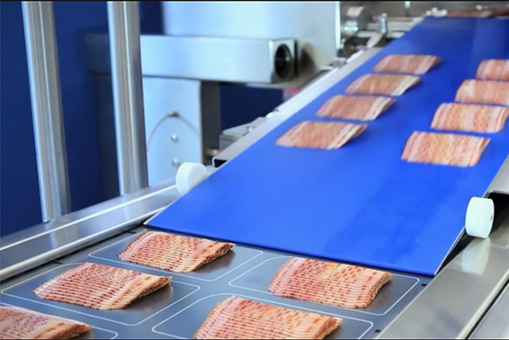 餃子、肉類食品輸送帶應(yīng)該怎么選擇