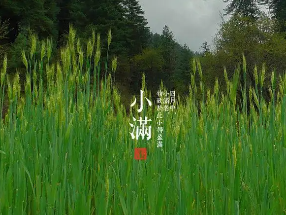 今日小滿，擎川與你一起靜待美滿！