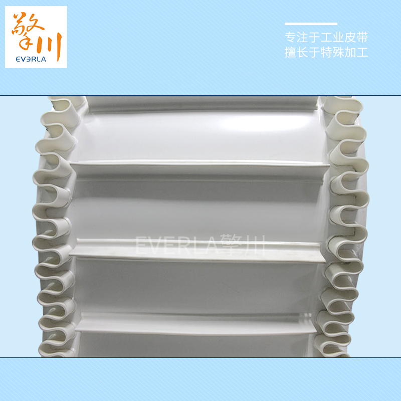 白色食品輸送帶 白色食品輸送帶