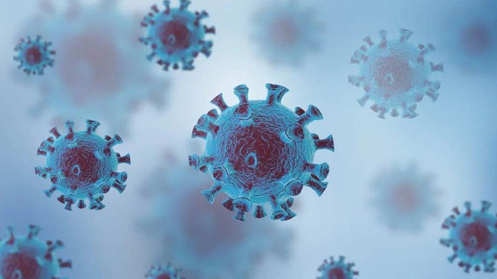 新型冠狀病毒 新型冠狀病毒