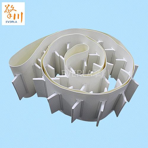 包裝流水線(xiàn)輸送帶