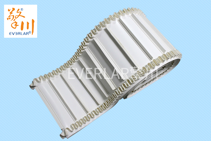 食品級(jí)裙邊輸送帶 食品級(jí)裙邊輸送帶