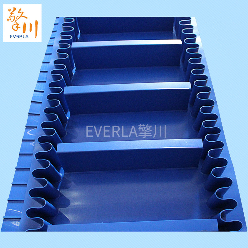 環(huán)形擋邊輸送帶 環(huán)形擋邊輸送帶