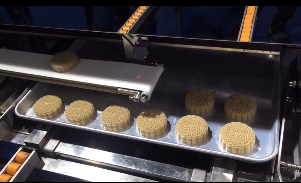 食品加工輸送帶 食品加工輸送帶