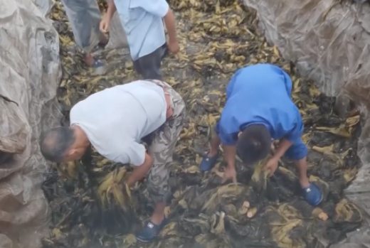 食品輸送帶：“土坑酸菜”11家企業(yè)復(fù)工，消費(fèi)者還買單嗎