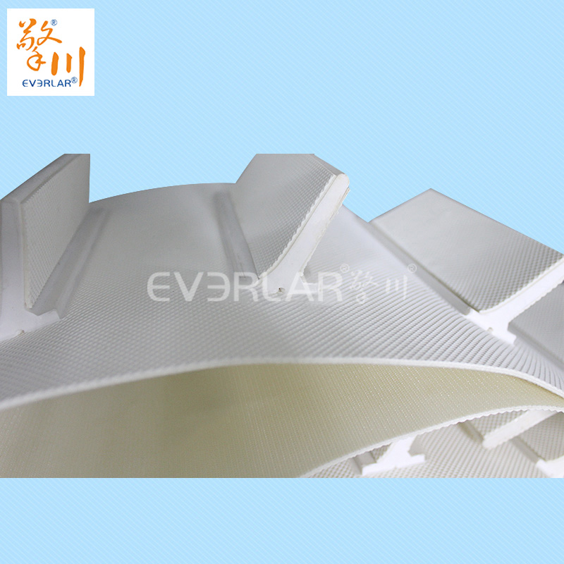 食品專(zhuān)用的輸送帶有哪些?